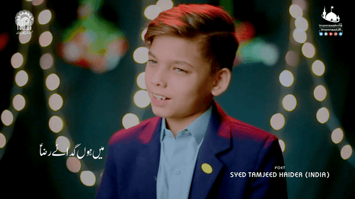 میں ہوں گدائے رضا 