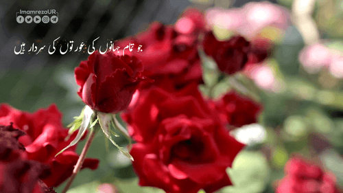 دعائے افتتاح کے فراز 6