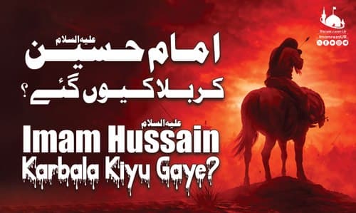 امام حسین علیہ السلام کربلا کیوں گئے؟