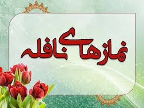 احکام | نوافل شبانه روزی