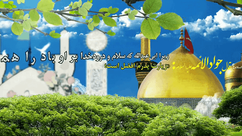 چهل حدیث | افضلیت زیارت امام رضا