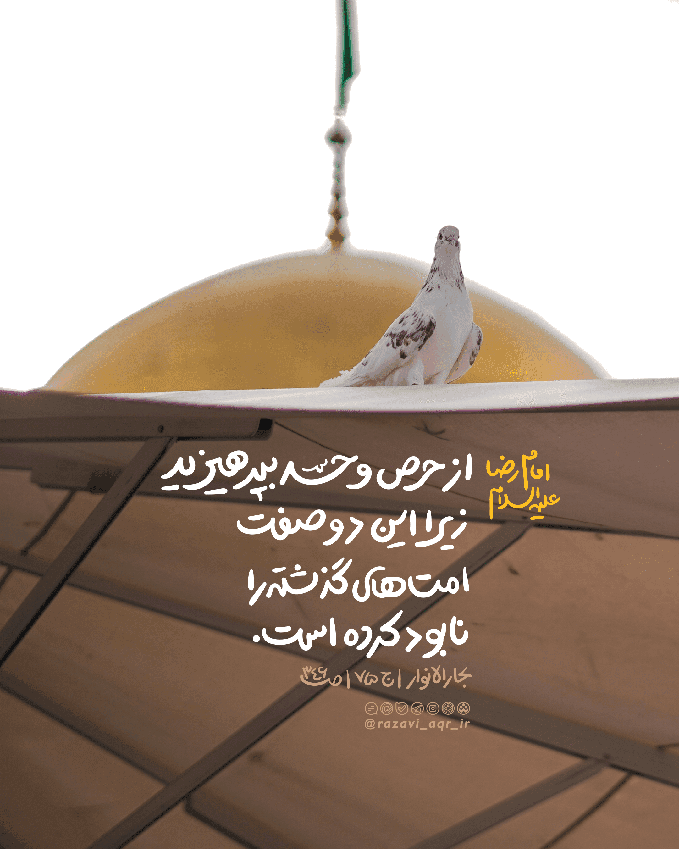 سبک زندگی رضوی | حرص و حسد