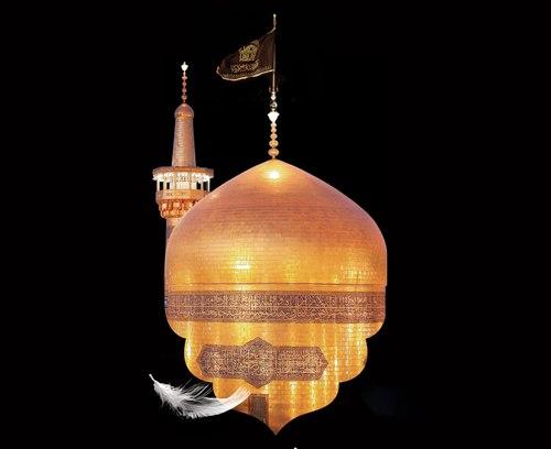 شهادت نامه خوانی حضرت رضا علیه السلام