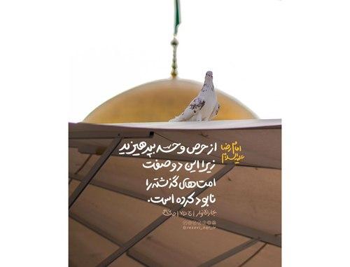 سبک زندگی رضوی | حرص و حسد