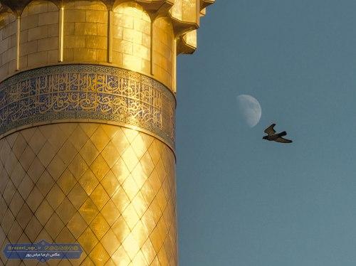 پرواز در کنار حریم رضوی