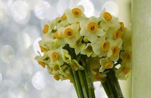 پوستر | حدیثی از امام زمان