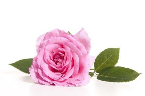 سه ویژگی مرد در منزل