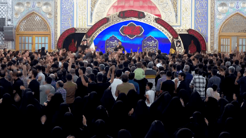 رضا رضا دل من کبوتر مشهد است