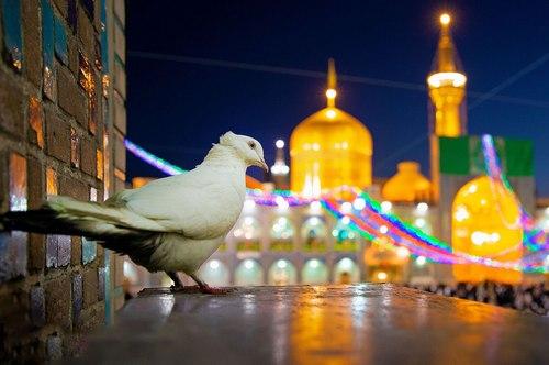 اطلاع رسانی