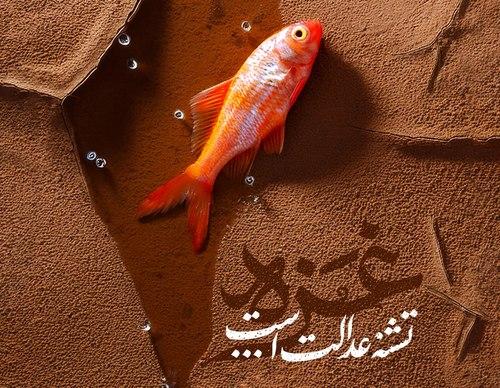 آلبوم | مظلومیت غزه