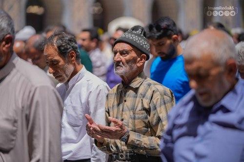 اجواء رضویة