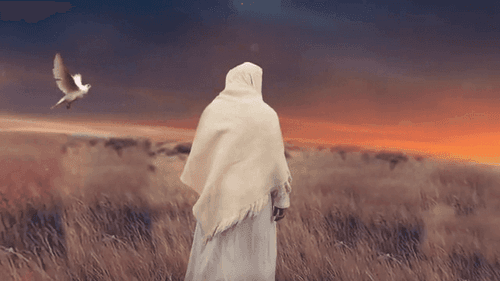 صوتی | برای ظهور، زمان تعیین نکنید!
