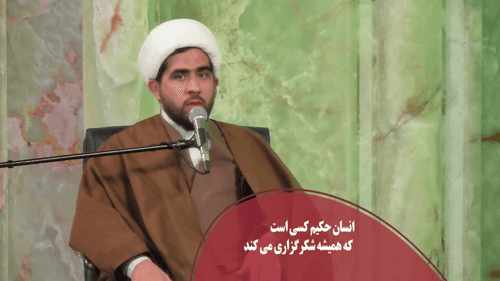 انسان حکیم همیشه شکرگزار است