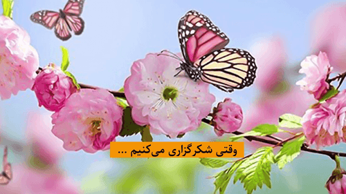 وقتی شکرگزاری می کنیم