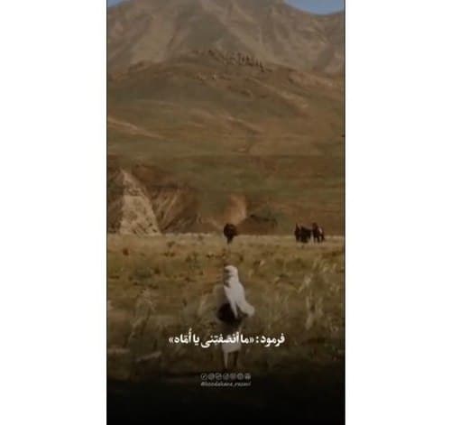 رعایت عدالت بین فرزندان
